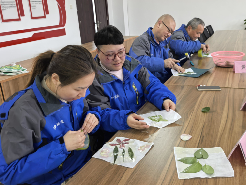 開展“植物拓印”DIY活動現(xiàn)場-2.jpg